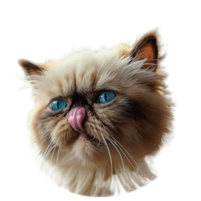 Sticker 10