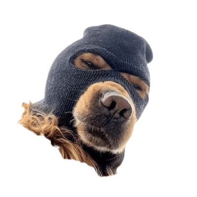 Sticker 4
