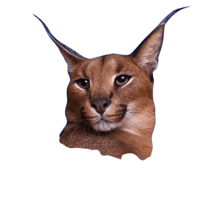 Sticker 8